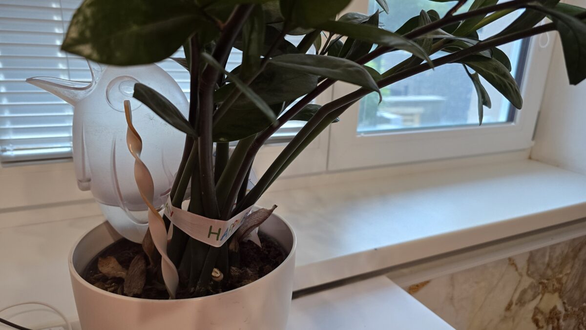 zavlažovací systém