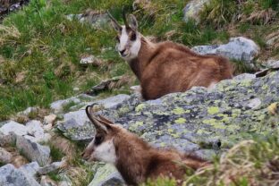 Tatry