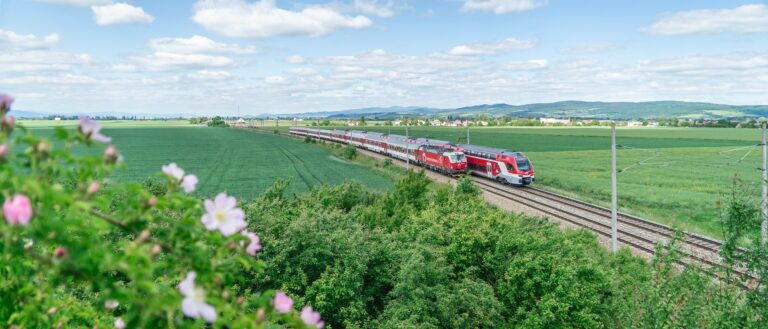 zeleň vlaky koľajnice hory