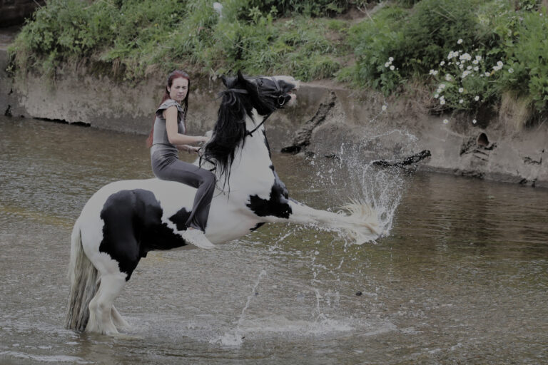 kôň žena rieka kvapky vody