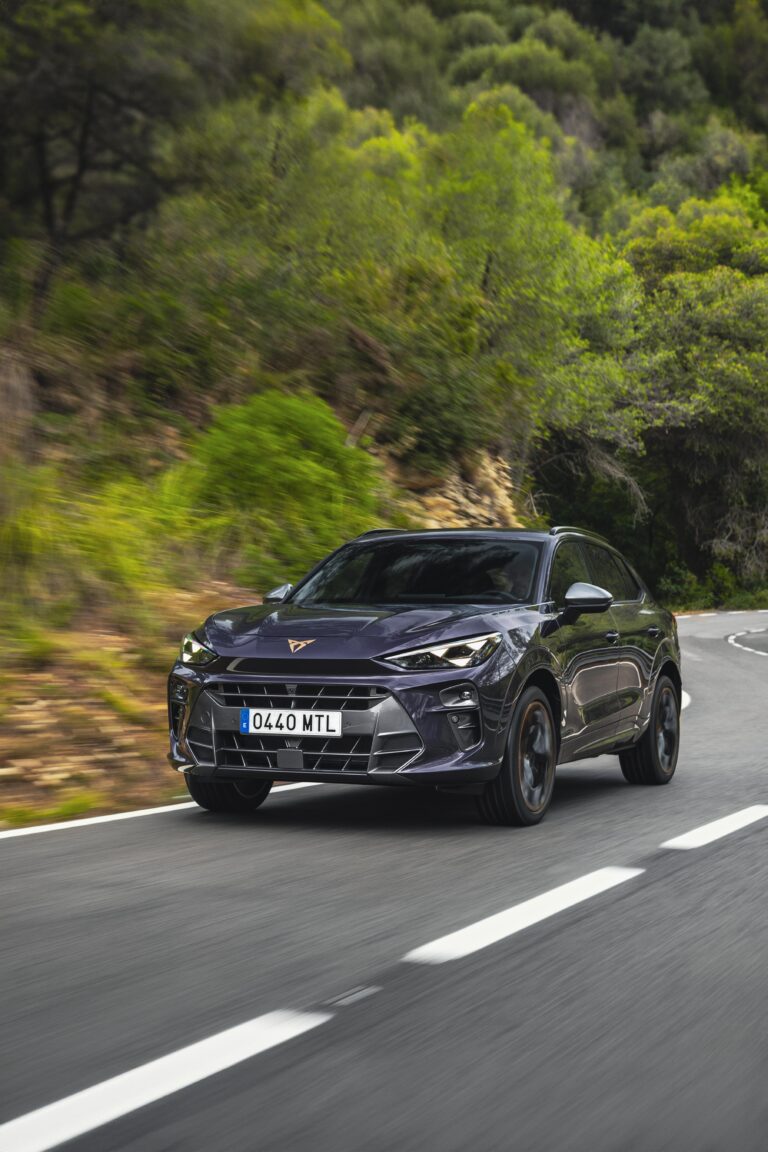 Cupra Terramar Dark Void