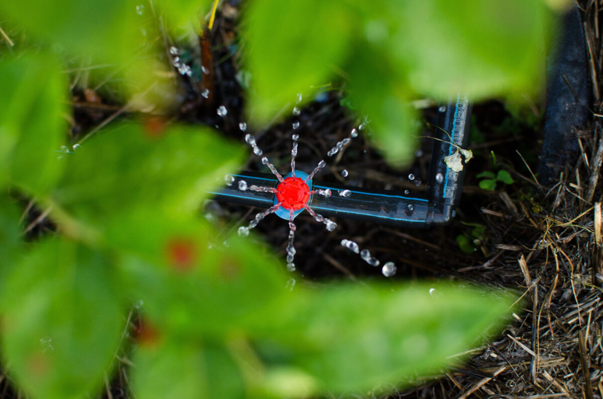 zavlažovací systém