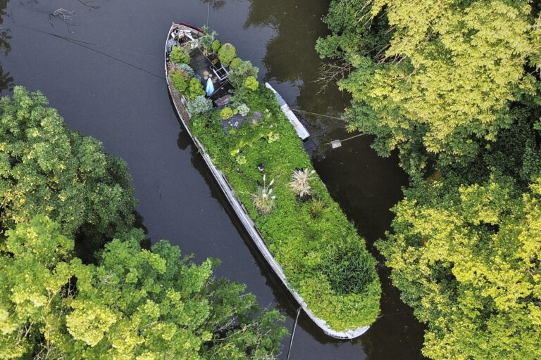 rastliny tráva stromy rieka loď