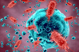 Bacterial disease concept illustration.