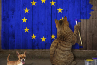 Cat draws the european flag