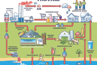PFAS cycle shows pollution flow from industry to water and ...