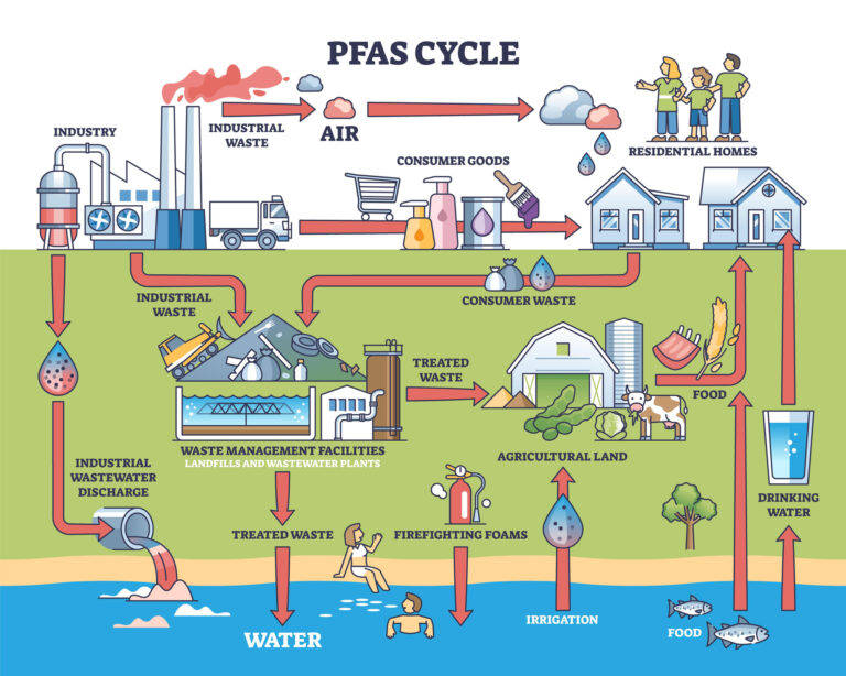 PFAS cycle shows pollution flow from industry to water and ...