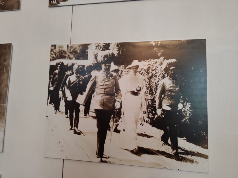 Atentát na následníka rakúsko-uhorského trónu Františka Ferdinanda d'Este, poslúžil ako jedna zo zámienok rozpútania prvej svetovej vojny.