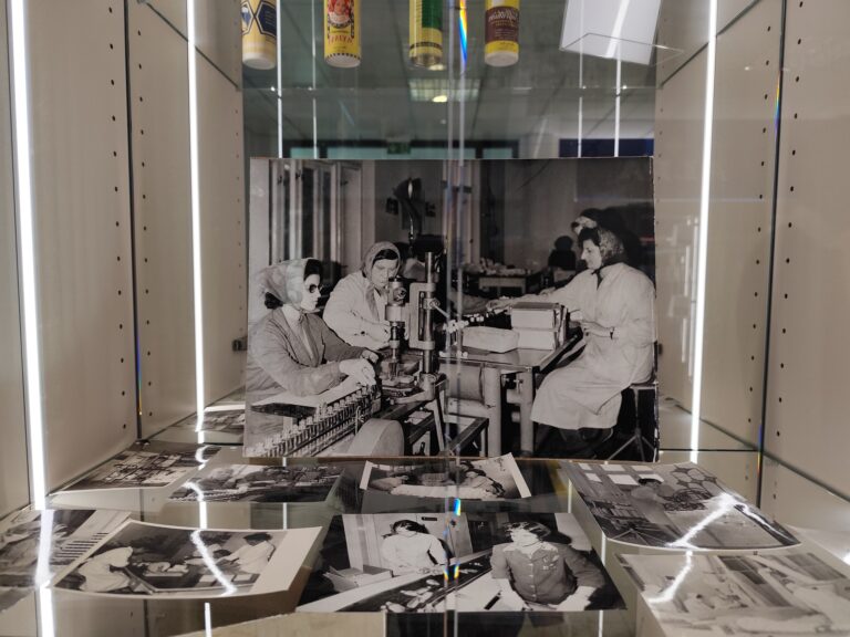 Alpa aj po 100 rokoch ukrýva záhady. Ako prežila cisárov, vojny a odkiaľ sa vzal jej názov?