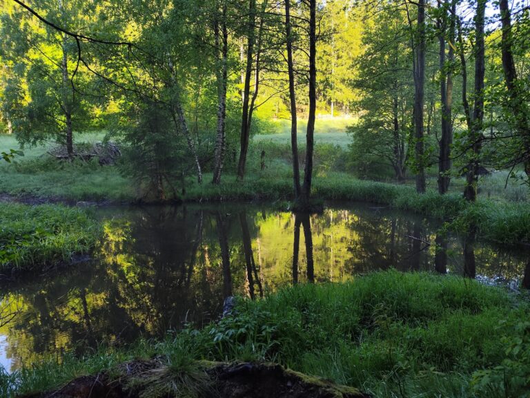 Hotel Kouty: Sauna na vode a kúzelný pokoj lesa