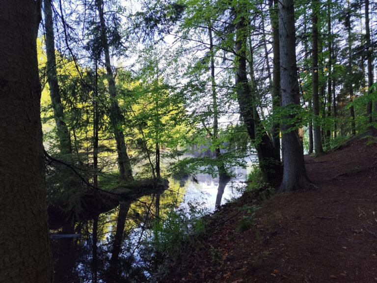 Hotel Kouty: Sauna na vode a kúzelný pokoj lesa