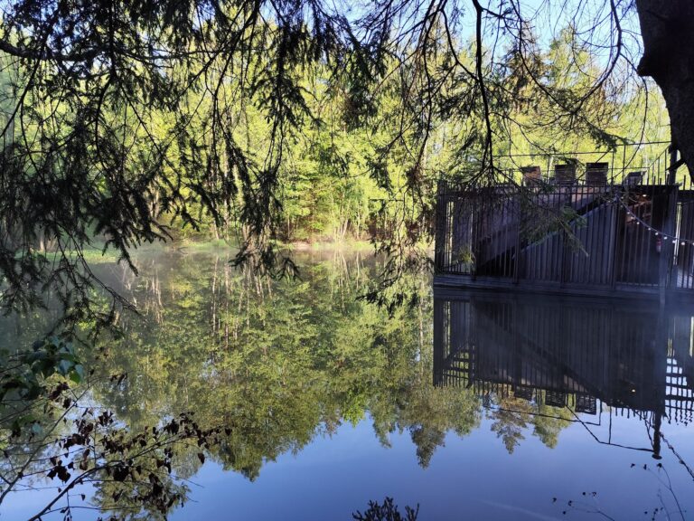 Hotel Kouty: Sauna na vode a kúzelný pokoj lesa