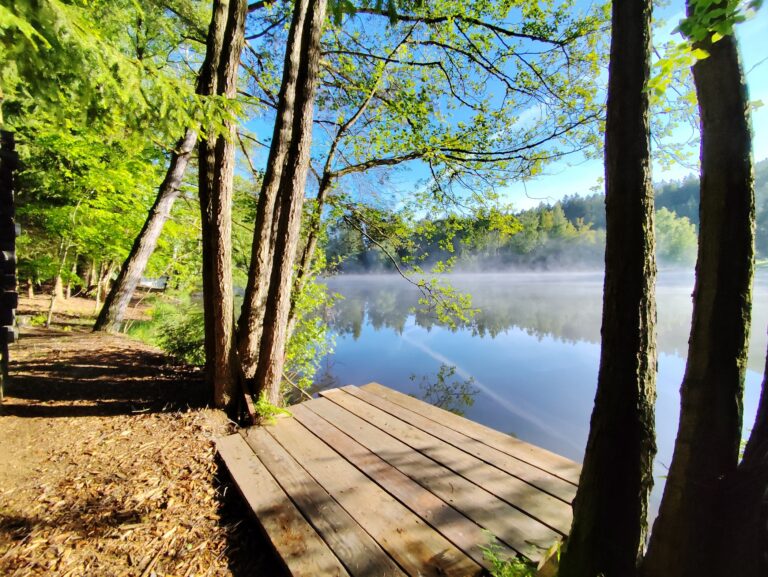 Hotel Kouty: Sauna na vode a kúzelný pokoj lesa