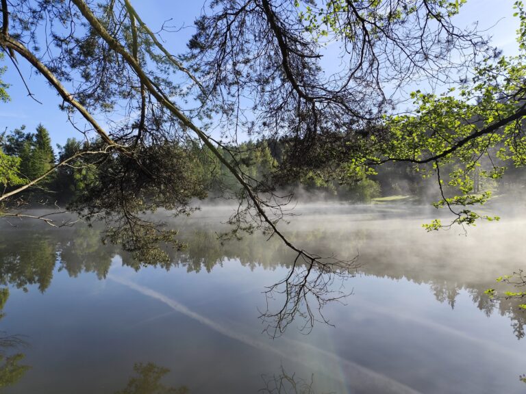 Hotel Kouty: Sauna na vode a kúzelný pokoj lesa