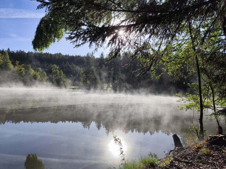 Hotel Kouty: Sauna na vode a kúzelný pokoj lesa