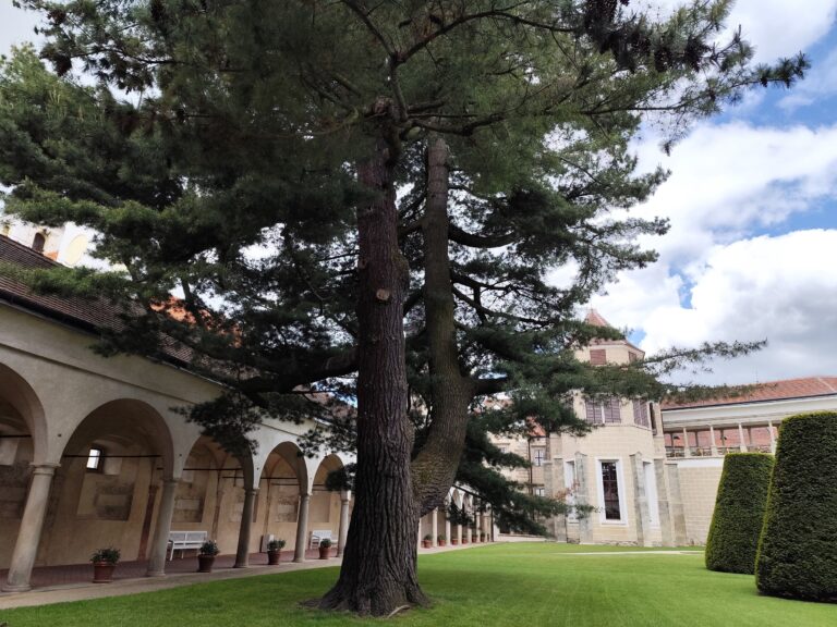 Telč: Zámok, kde sa natáčala Pyšná princezná a ožíva renesancia