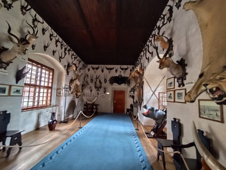 Telč: Zámok, kde sa natáčala Pyšná princezná a ožíva renesancia