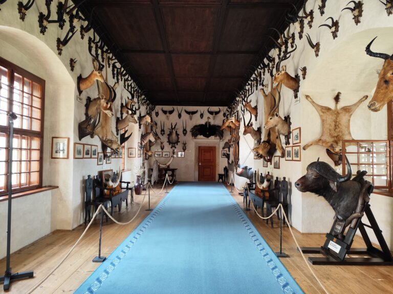 Zámok a podzemie v Telči