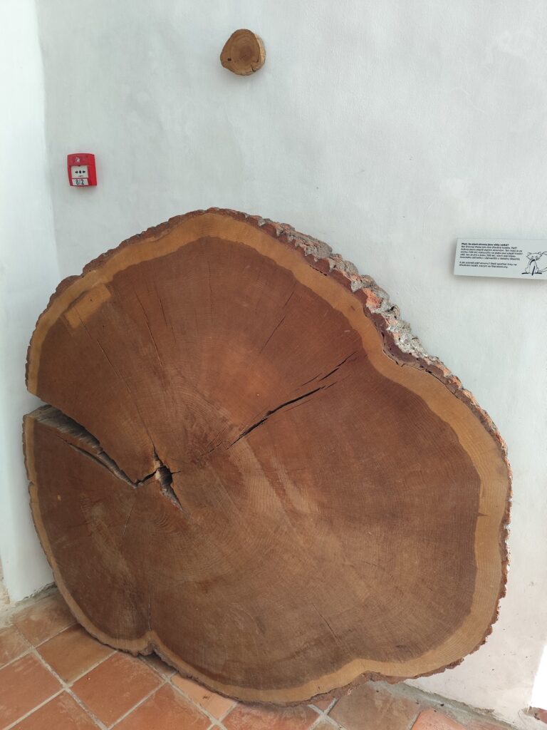 Druhý okruh je koncipovaný bez sprievodcu a je zameraný na rôzne hry pre deti, ale i dospelých.