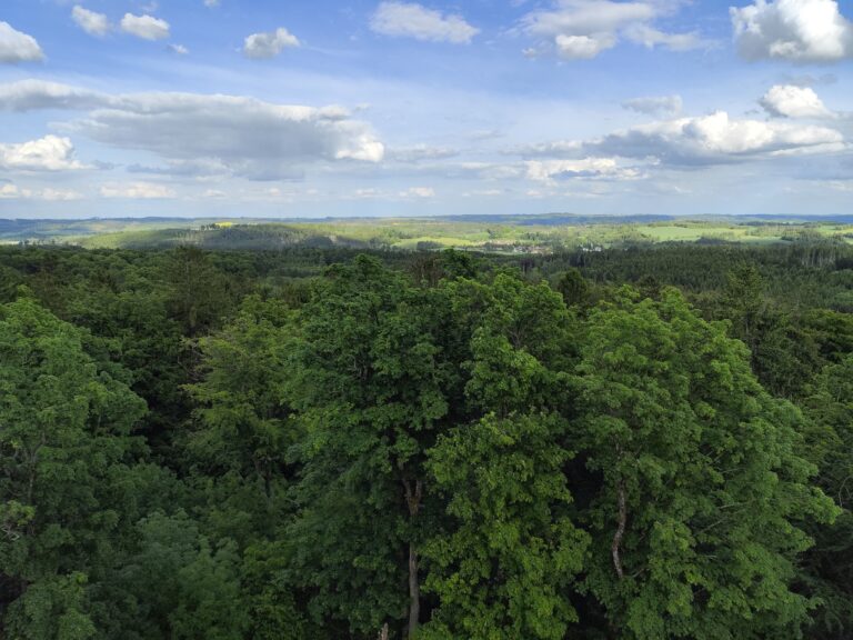 Roštejn: Hrad, kde sa deti učia cez hru a dospelí zažívajú barokové hodovanie