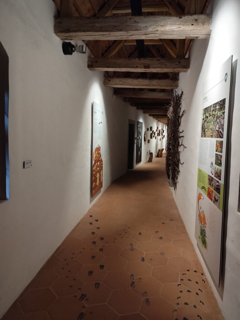 Druhý okruh je koncipovaný bez sprievodcu a je zameraný na rôzne hry pre deti, ale i dospelých.