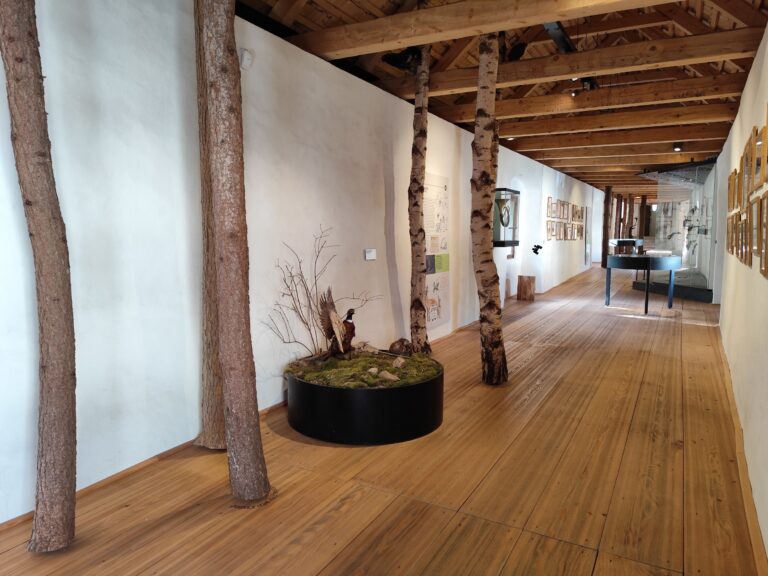 Druhý okruh je koncipovaný bez sprievodcu a je zameraný na rôzne hry pre deti, ale i dospelých.