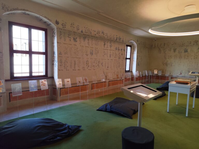 Druhý okruh je koncipovaný bez sprievodcu a je zameraný na rôzne hry pre deti, ale i dospelých.