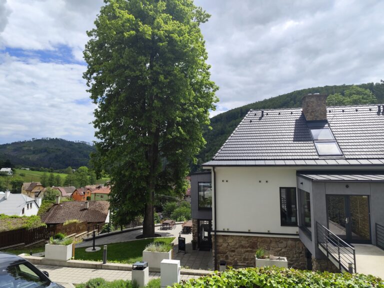 Forest Resort: Glamping pri priehrade a energia lesa