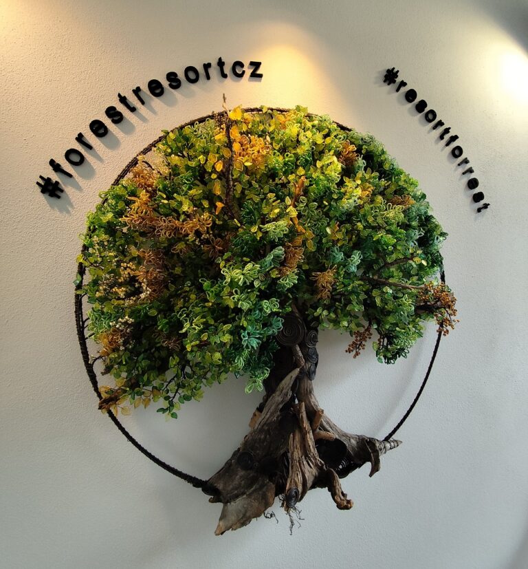 Forest Resort: Glamping pri priehrade a energia lesa