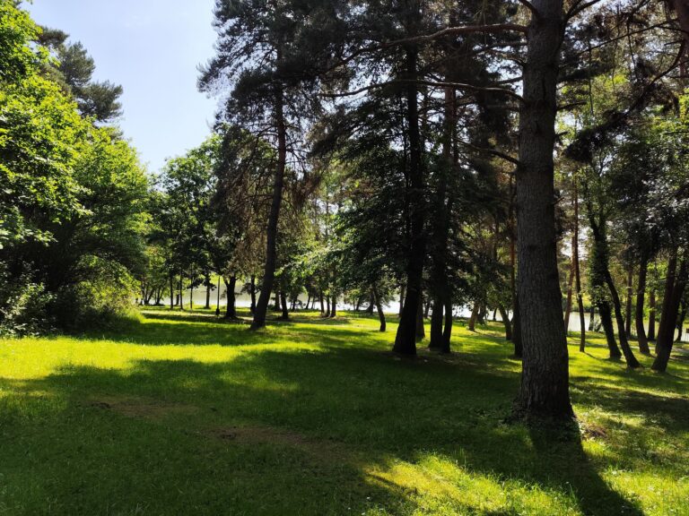 Duchonka – nový dych kultového miesta