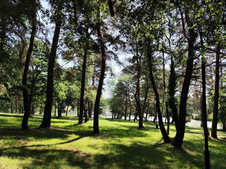 Duchonka – nový dych kultového miesta