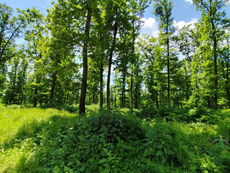 Na bicykli cez Ponitrie
