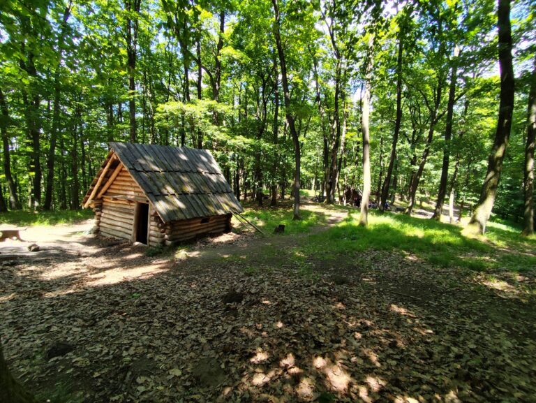 Unikátny projekt Archeoskanzen Bojná, Hradisko Valy a múzeum v obci Bojná