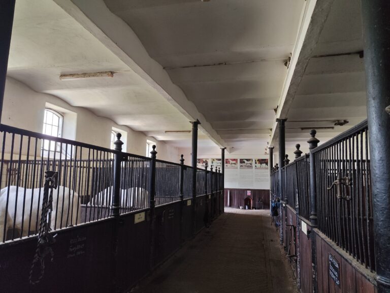 Národný žrebčín Topoľčianky.