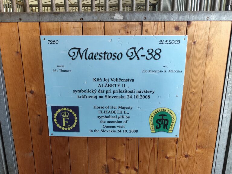 Lipicanský žrebec Maestoso - symbolický dar Slovenska pre kráľovnú Alžbetu II..