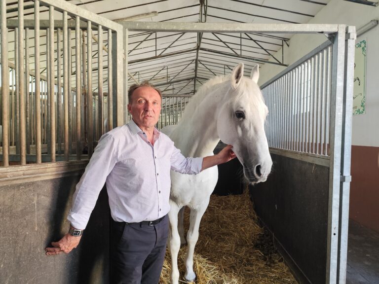 Lipicanský žrebec Maestoso - symbolický dar Slovenska pre kráľovnú Alžbetu II..