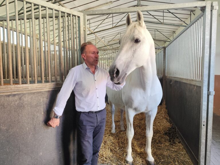 Lipicanský žrebec Maestoso - symbolický dar Slovenska pre kráľovnú Alžbetu II..