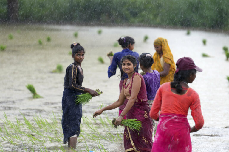 dievčatá ryžové pole dážď