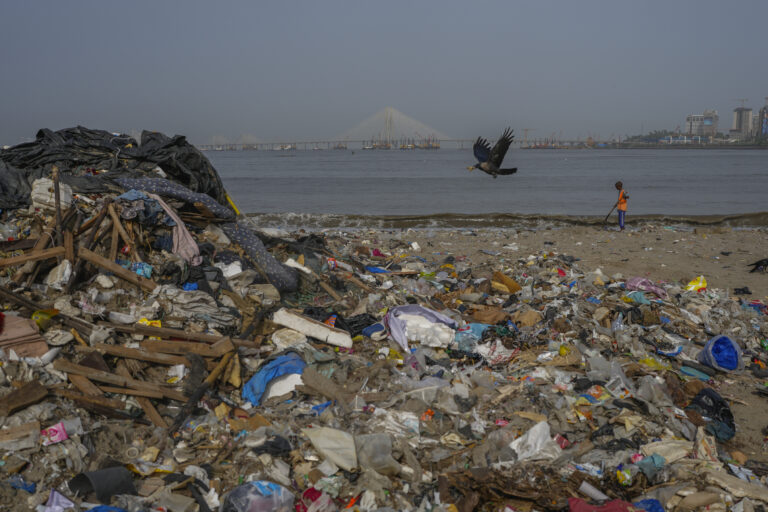 odpad plast vták človek