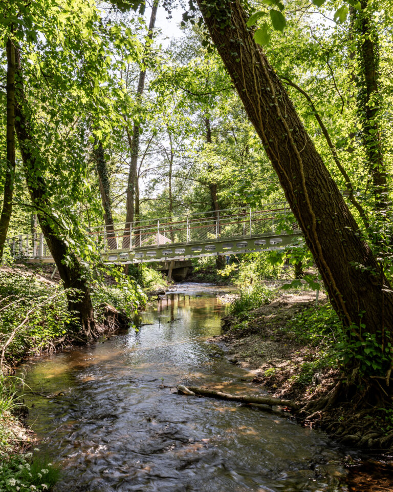 Nominácie na ocenenia CE ZA AR 2025