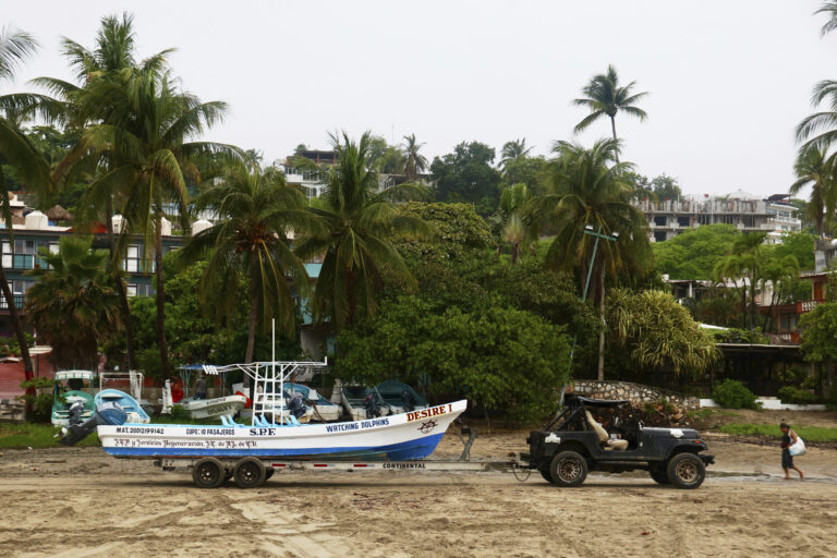 rybár loď palmy pláž zeleň