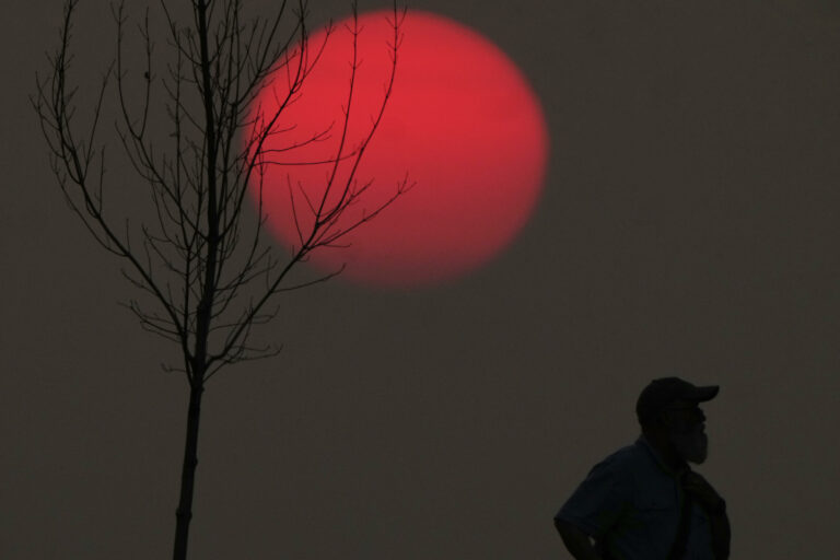 západ slnka človek ľudia silueta strom noc nočná obloha
