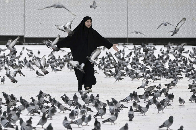 Moslimský pútnik holub vtáky