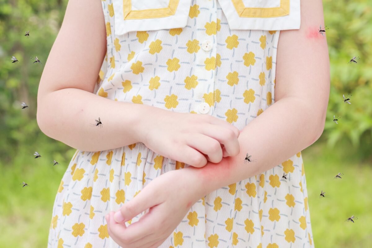 lietajúci hmyz a bodnutie