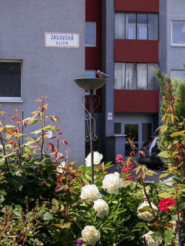 Predzáhradky na sídliskách majú potenciál meniť nielen okolie, ale aj vzťahy medzi ľuďmi.