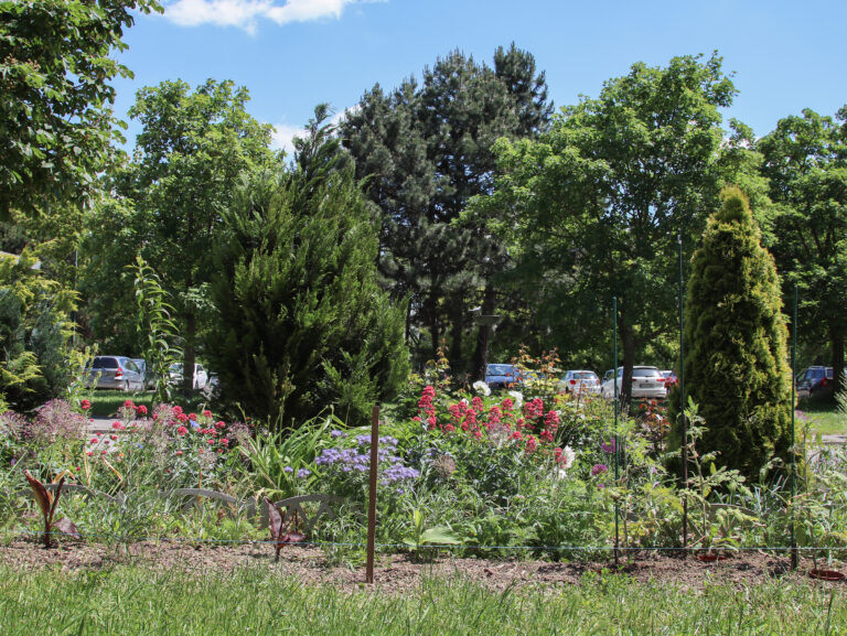 Predzáhradky na sídliskách majú potenciál meniť nielen okolie, ale aj vzťahy medzi ľuďmi.
