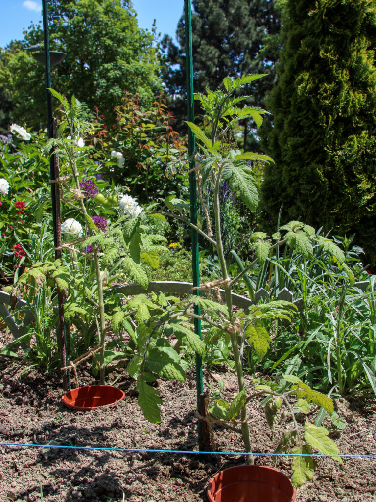Predzáhradky na sídliskách majú potenciál meniť nielen okolie, ale aj vzťahy medzi ľuďmi.