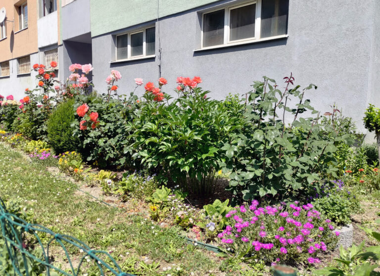 Predzáhradky na sídliskách majú potenciál meniť nielen okolie, ale aj vzťahy medzi ľuďmi.