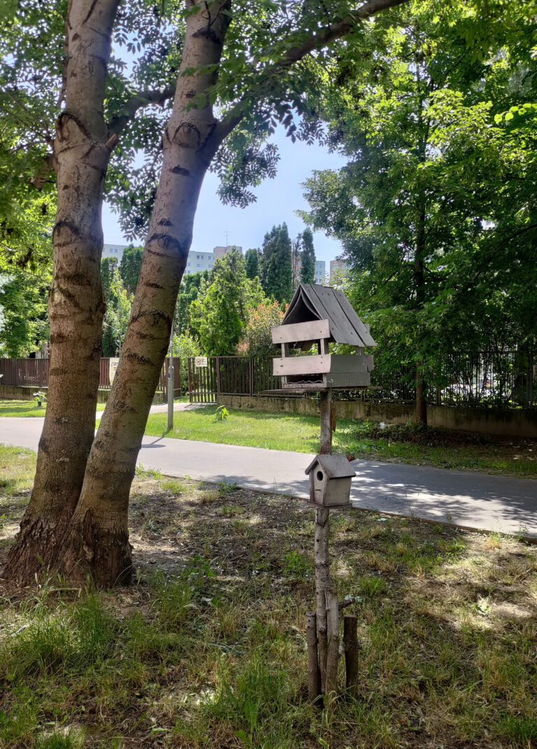 Predzáhradky na sídliskách majú potenciál meniť nielen okolie, ale aj vzťahy medzi ľuďmi.