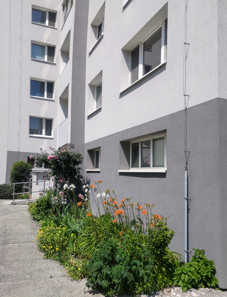 Predzáhradky na sídliskách majú potenciál meniť nielen okolie, ale aj vzťahy medzi ľuďmi.